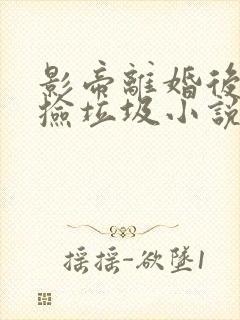 影帝离婚后天天捡垃圾小说