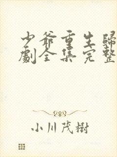 少爷重生归来短剧全集完整版