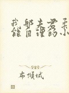 我那夫君柔弱不能自理的小说