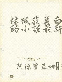 林枫苏慕白穿越的小说最新章节