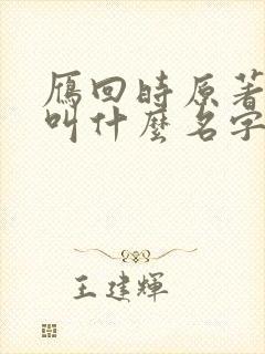 雁回时原著小说叫什么名字