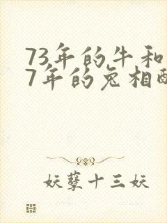 73年的牛和87年的兔相配婚姻如何