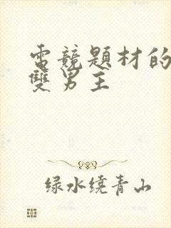 电竞题材的小说双男主