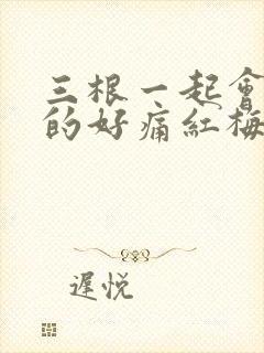 三根一起会坏掉的好痛红梅