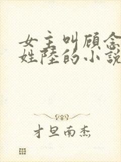 女主叫顾念男主姓陆的小说