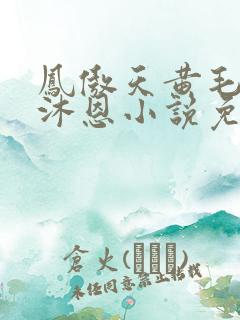 凤傲天黄毛反派沐恩小说免费观看