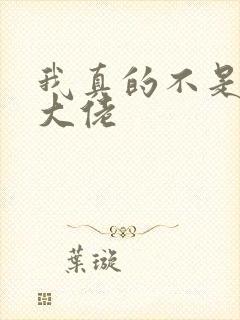 我真的不是反派大佬