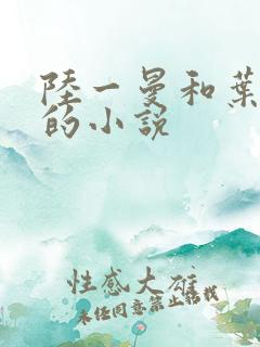 陆一曼和叶风云的小说