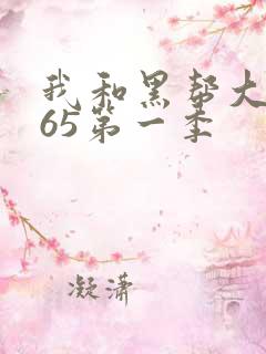 我和黑帮大佬365第一季