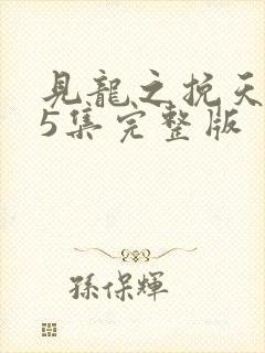 见龙之挽天倾65集完整版