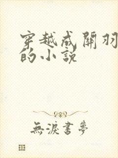 穿越成关羽儿子的小说