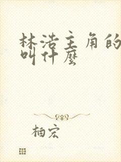 林浩主角的小说叫什么