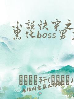 小说快穿之拯救黑化boss男主txt