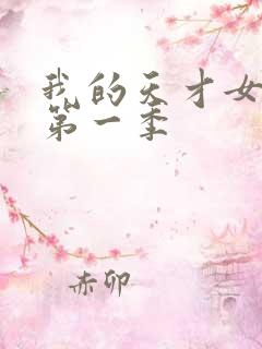 我的天才女友 第一季