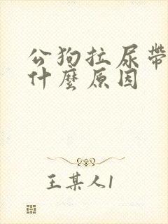 公狗拉尿带血是什么原因