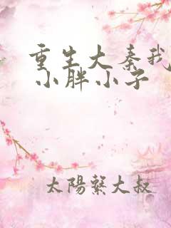 重生大秦我为皇 小胖小子