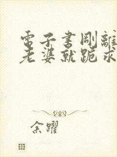 电子书刚离婚,老婆就跪求复合在线阅读