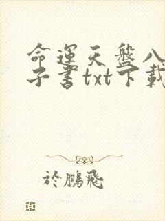 命运天盘八零电子书txt下载
