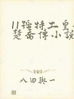 11号特工皇妃楚乔传小说