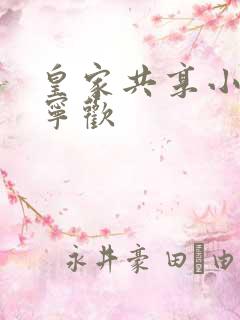 皇家共享小公主宁欢