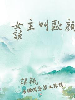 女主叫欧颜的小说