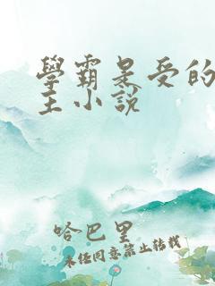 学霸是受的双男主小说