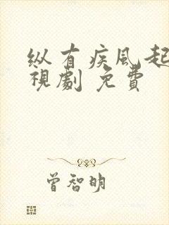 纵有疾风起 电视剧 免费