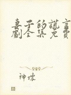 妻子的谎言电视剧全集免费