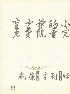 盲少爷的小女仆免费观看完整版