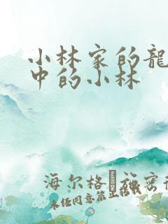 小林家的龙女仆中的小林