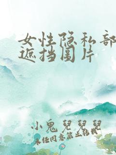 女性隐私部位无遮挡图片