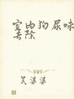 室内狗尿味怎样去除