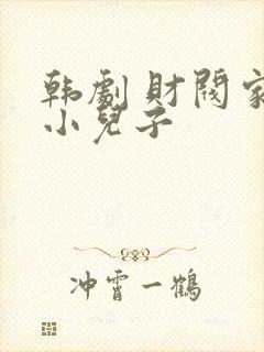 韩剧 财阀家的小儿子