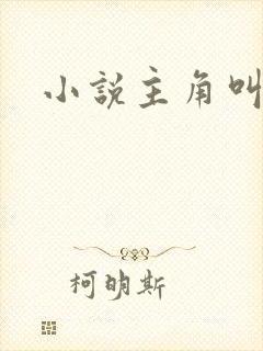 小说主角叫周泽