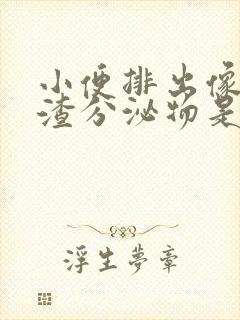 小便排出像豆腐渣分泌物是怎么回事