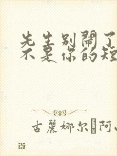 先生别闹了新娘不是你的短剧全集播放