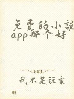 免费的小说阅读app哪个好