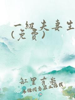 一级夫妻生活片(免费)