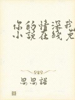 你的情深我不配小说在线免费阅读