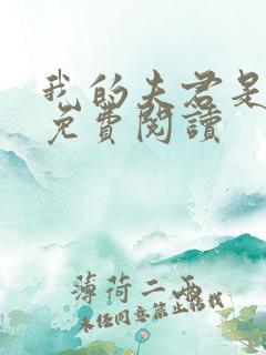 我的夫君是宠妃免费阅读