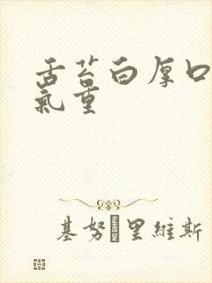 舌苔白厚口苦湿气重