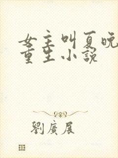 女主叫夏晚晚的重生小说