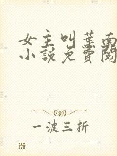 女主叫叶南枝的小说免费阅读