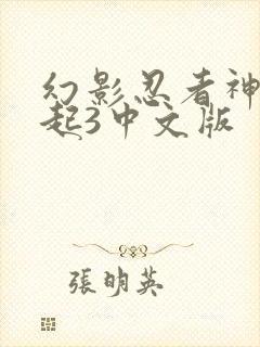 幻影忍者神龙崛起3中文版