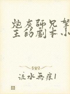 炮灰师兄拿了女主的剧本小说