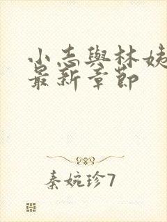 小志与林姨小说最新章节