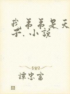 我弟弟是天选之子. 小说