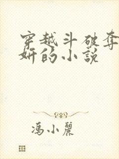 穿越斗破夺舍紫妍的小说