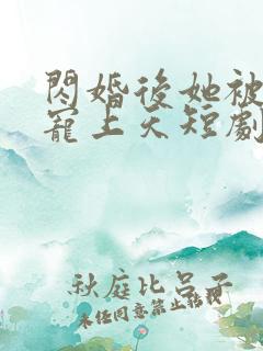 闪婚后她被顾总宠上天短剧全集在线观看