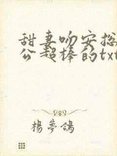 甜妻吻安总裁老公超棒的txt